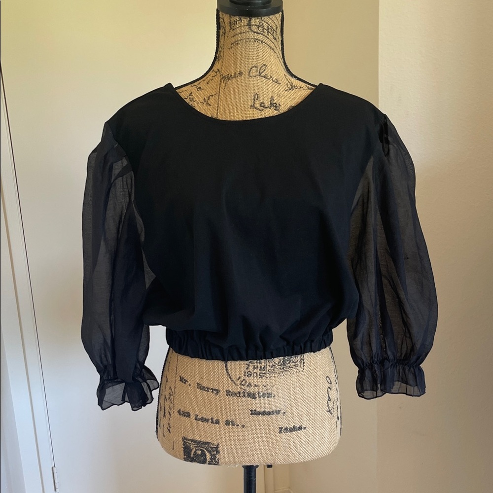 Chic Black Sheer Sleeve Blouse